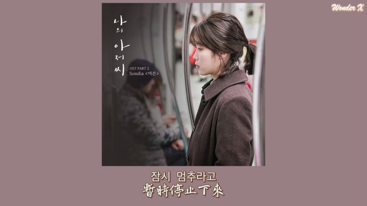 【韓中字】Sondia - 成人 / 大人 [ 我的大叔 OST Part 2 ]