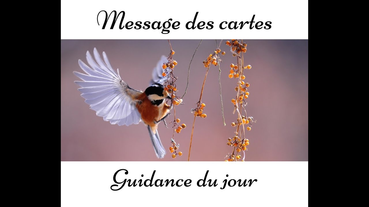 Gratitude/Amour/Entrave