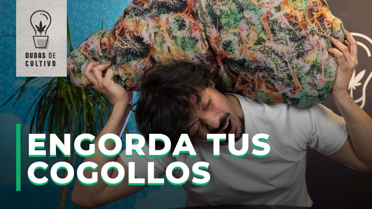 5 FACTORES PARA CULTIVAR FLORES M&Aacute;S DENSAS