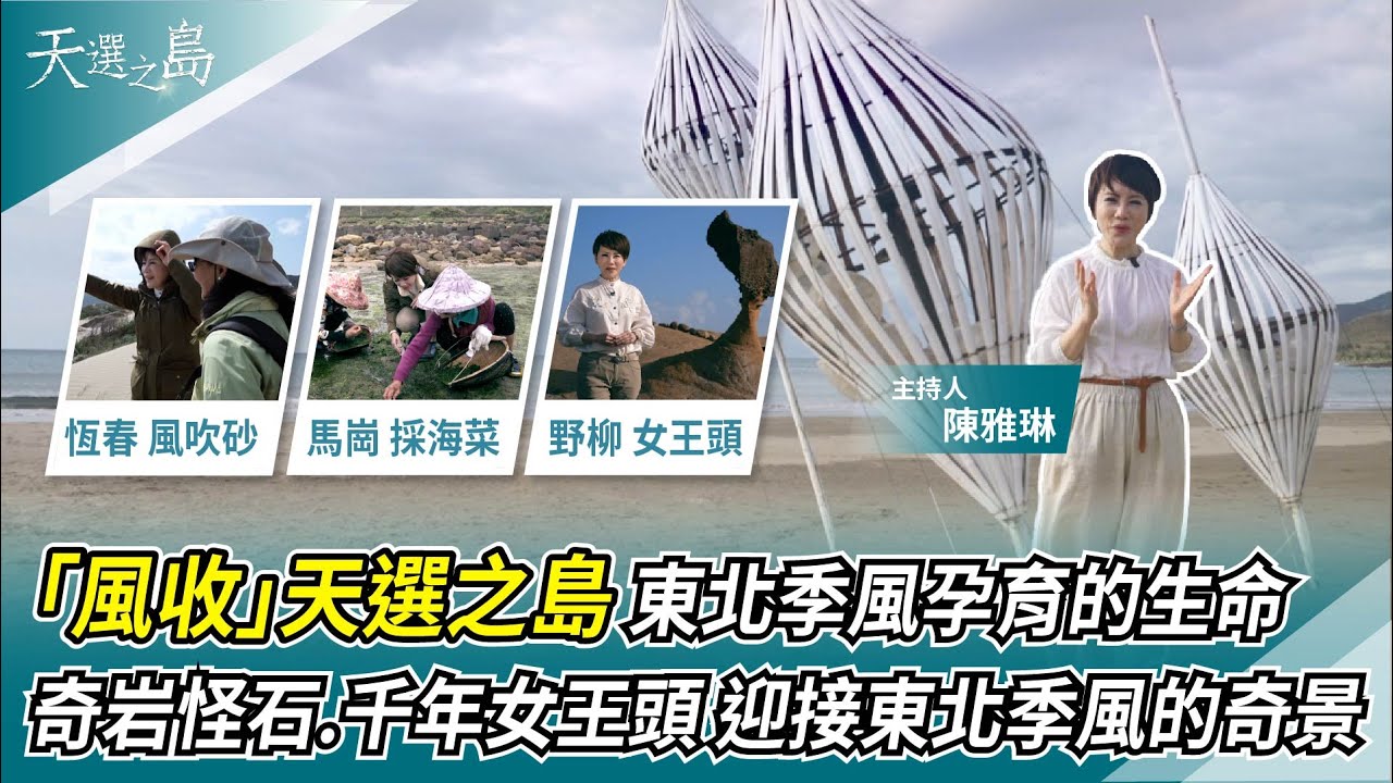 「風收」 東北季風孕育的生命｜狂沙飛舞 落山風的故鄉「恆春」｜奇岩怪石.千年女王頭 迎接東北季風的奇景｜天選之島｜華視新聞 20230430