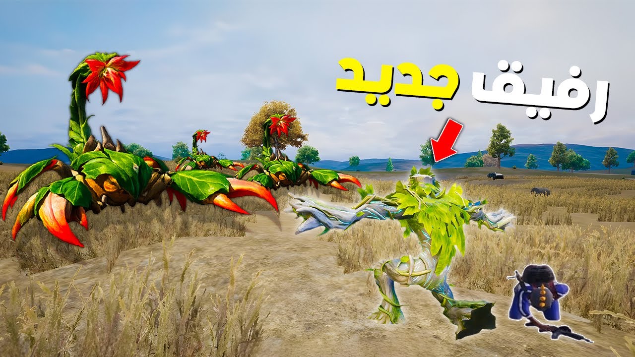 مستر روما | تحديث جديد ورفيق جديد في PUBG Mobile 👑