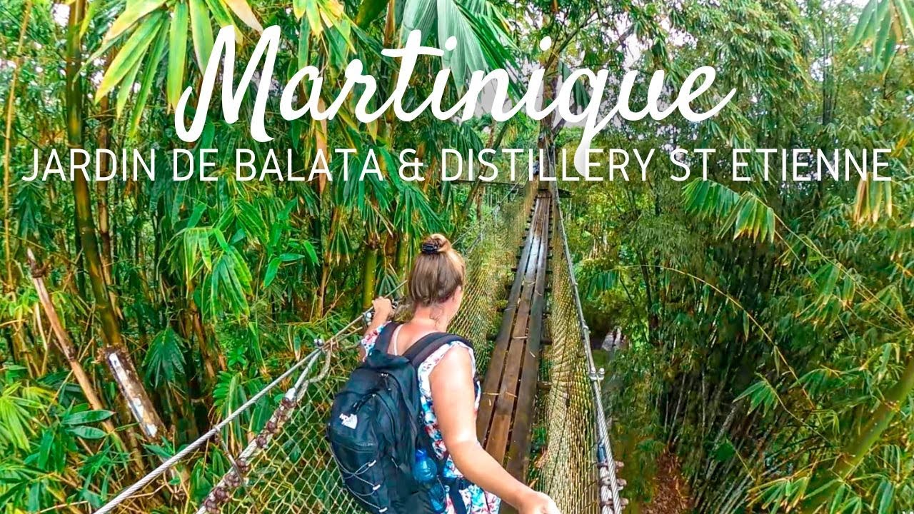 Martinique | Treetop walk at Jardin de Balata & visiting a distillery at Saint Etienne