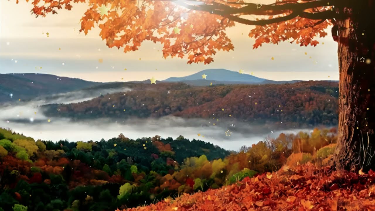 Мам, я заболела, можно не пойду сегодня в школу?