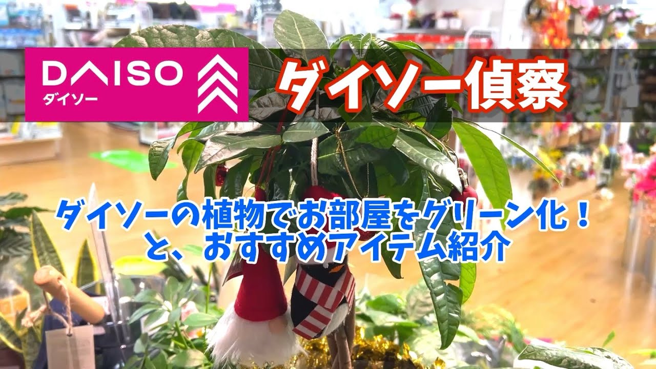 【ダイソー偵察】ダイソーの植物でお部屋をグリーン化！おすすめアイテム紹介 #ダイソー #daiso #観葉植物 #plants 
