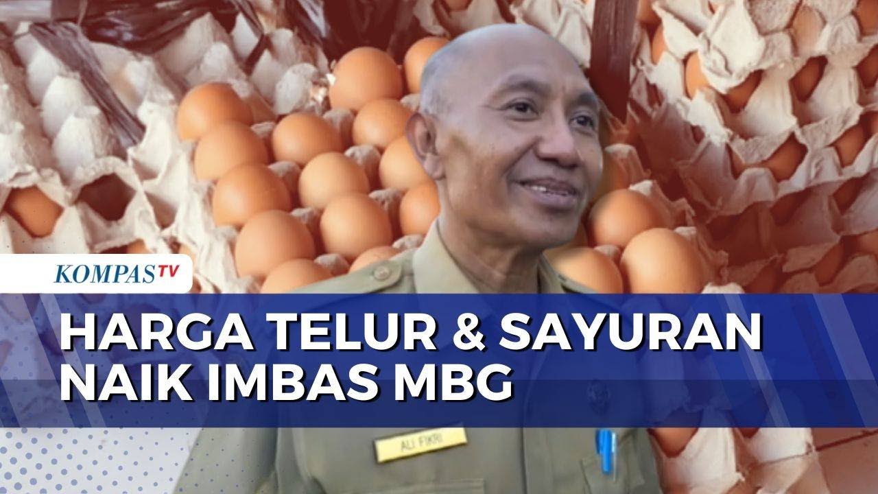 Harga Telur Naik di Sejumlah Daerah, Dipicu Permintaan Program Makan Bergizi Gratis | KOMPAS SIANG