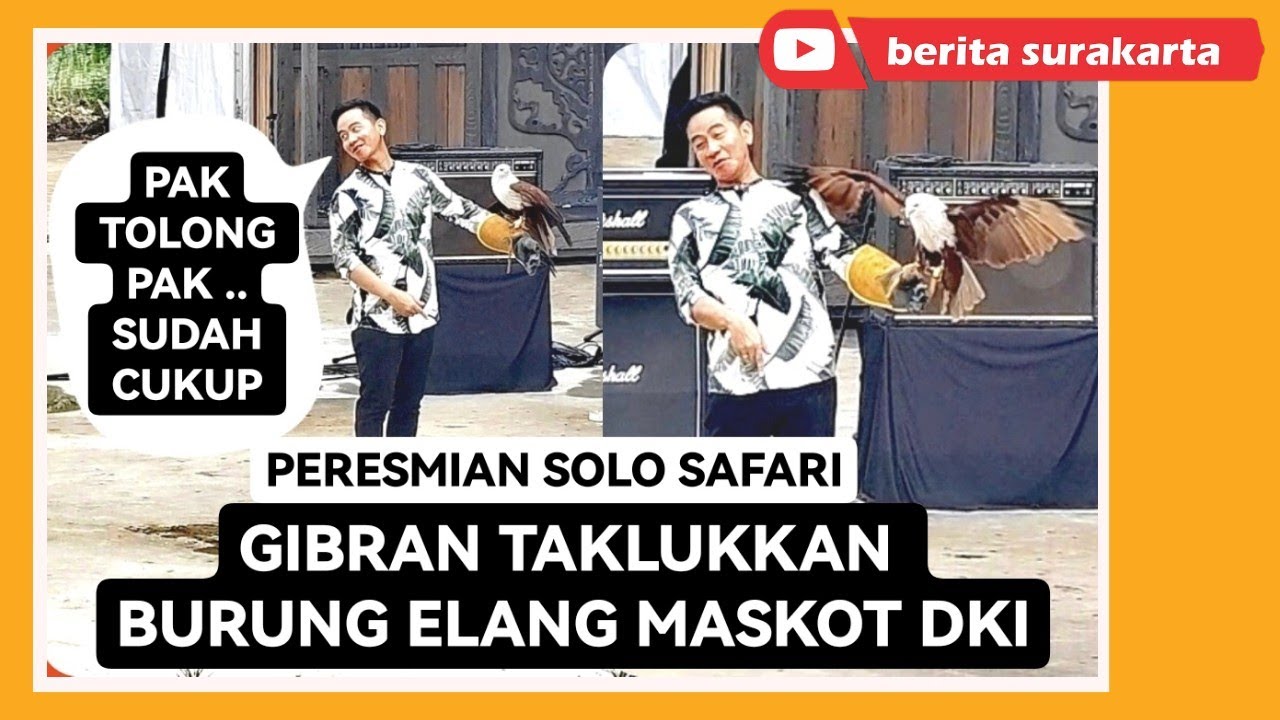 Pertanda Apa ini ! Gibran Taklukkan Elang Maskot DKI Saat Peresmian Solo Safari