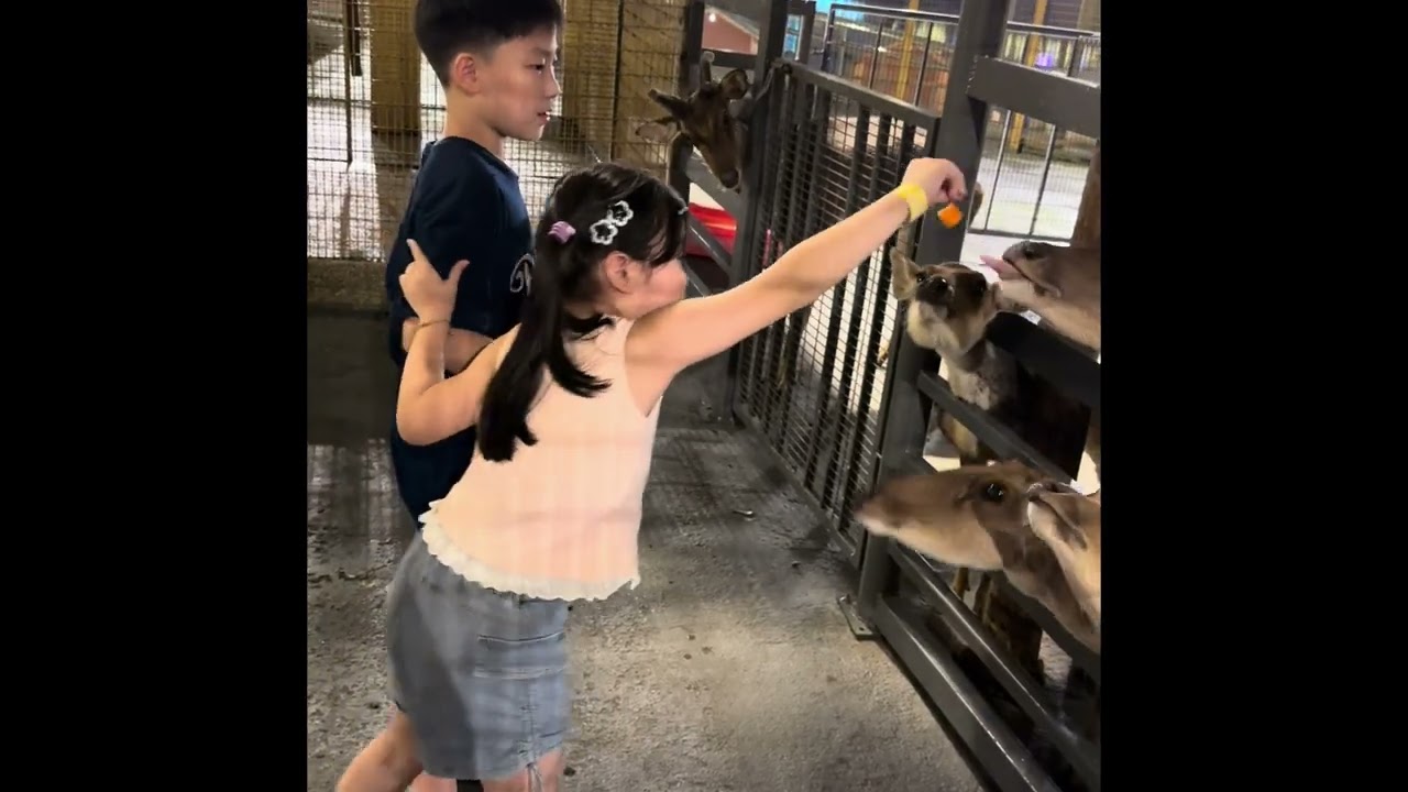 99 wonderland park Selayang Kuala Lumpur for the mini zoo 