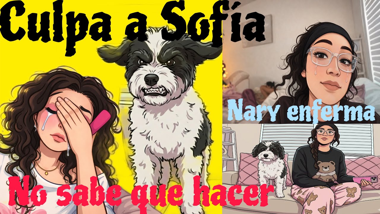 Nuevo hogar para Sofía ataca a daisy No sabe que hacer pide sugerencias