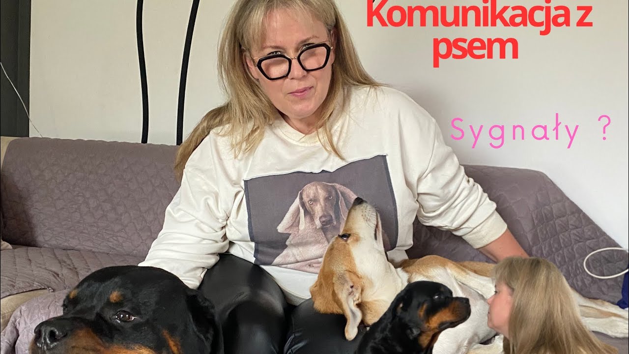 Jak komunikować sie z swoim psem ? Wstep do zrozumienia pupila🐶
