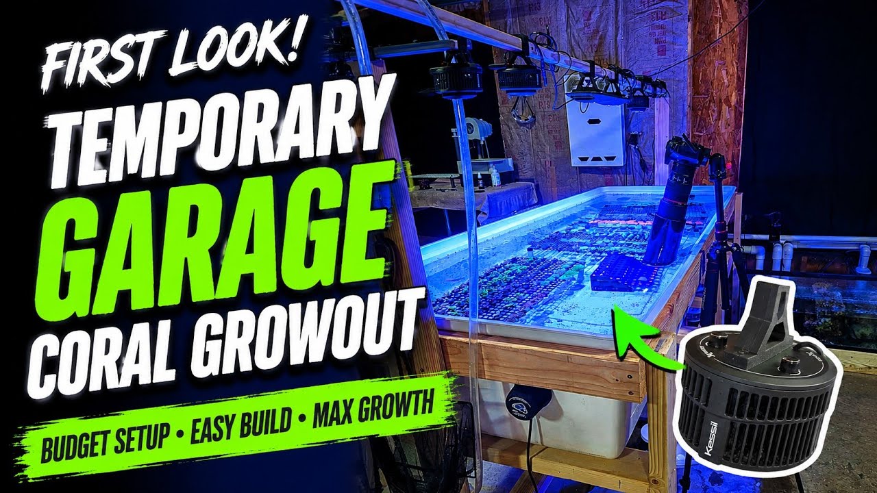 Первый взгляд на Garage Coral Farm | Скоро новое здание