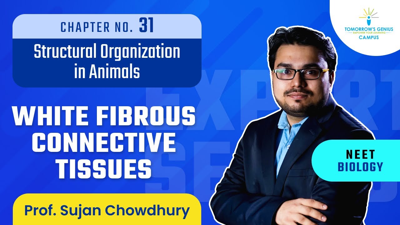 White Fibrous Connective Tissues | Structural Organization in Animals | NEET | Biology - TG Campus