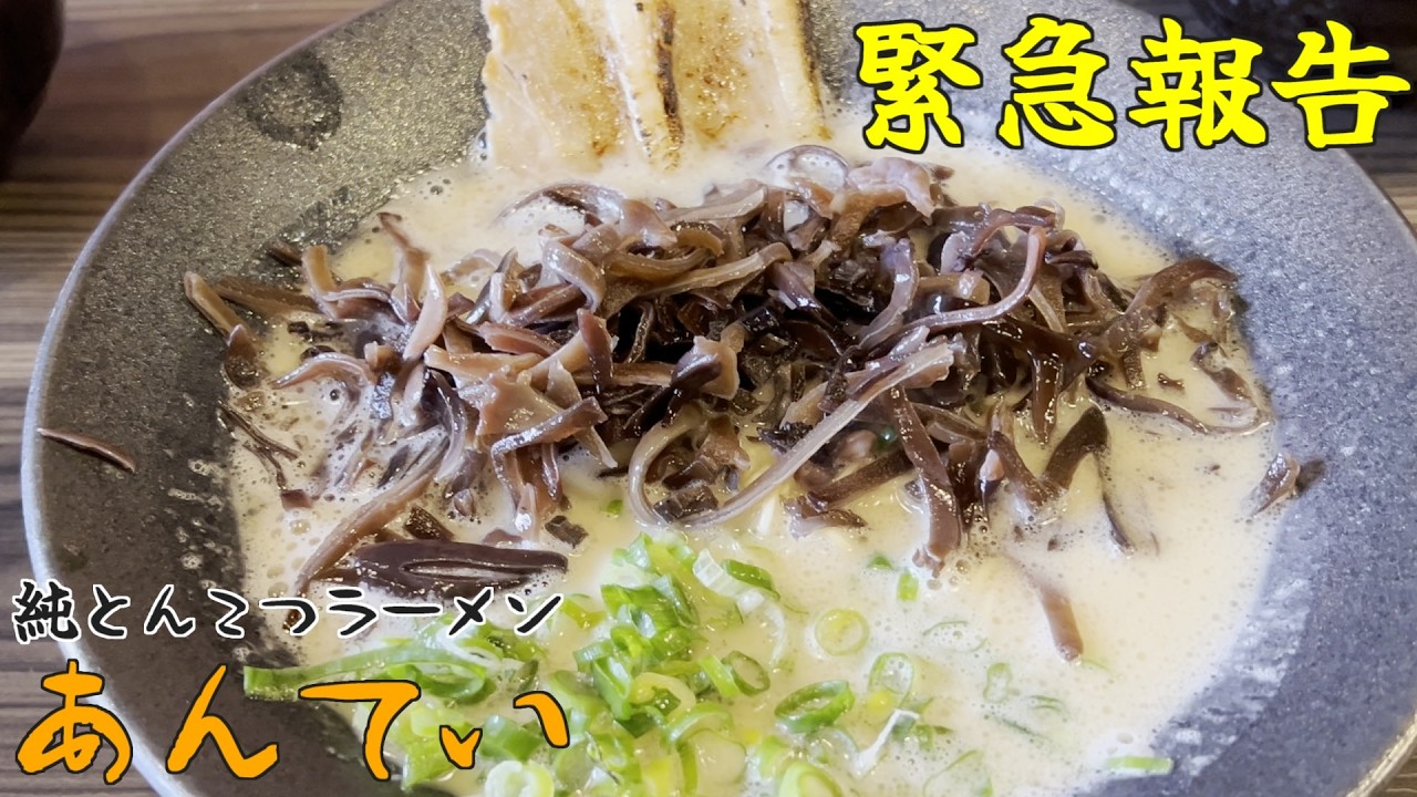 緊急報告！純とんこつラーメン「あんてい」旨すぎました！の巻