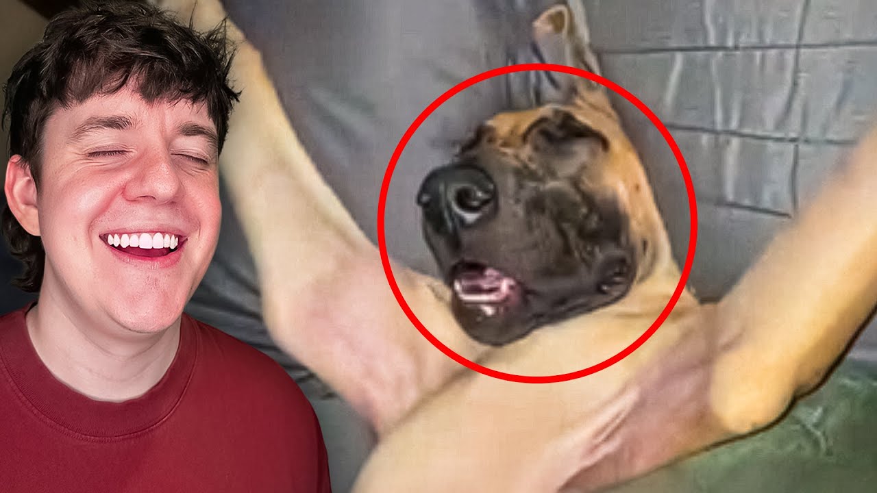 Необычные мемы — это УДИВИТЕЛЬНО