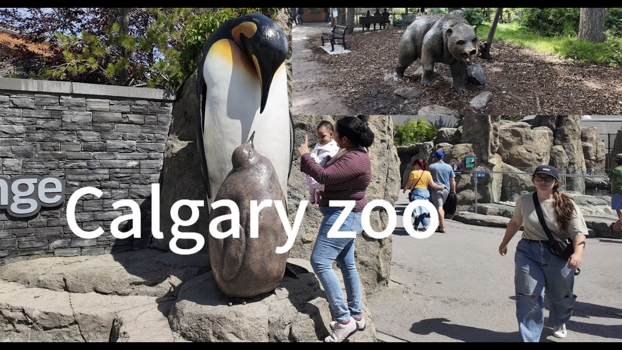 Calgary Zoo | Complete Walkthrough Tour in 4K 2025 | Must-See Family Day Out!