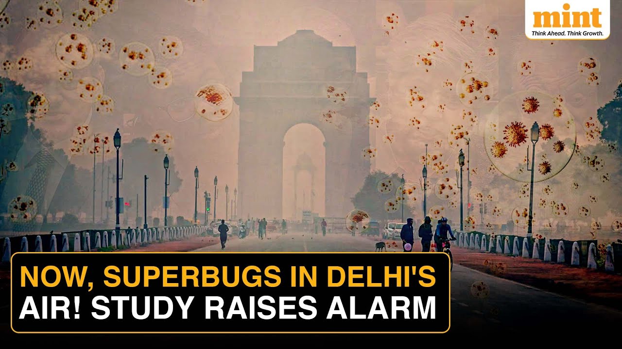 Severe AQI + Harmful Bacteria: How Delhi's Air Is Worsening Every Winter | Citizens Raise Alarm