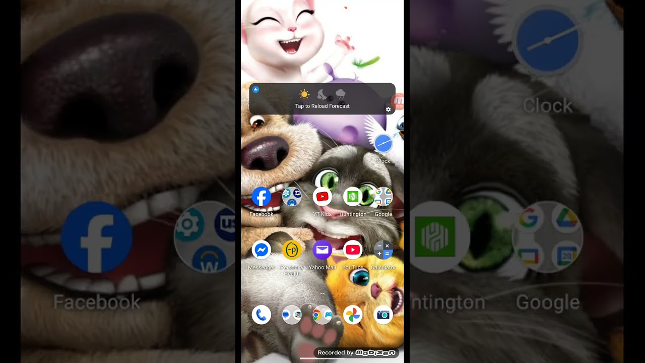 How to get talking Larry the Bird