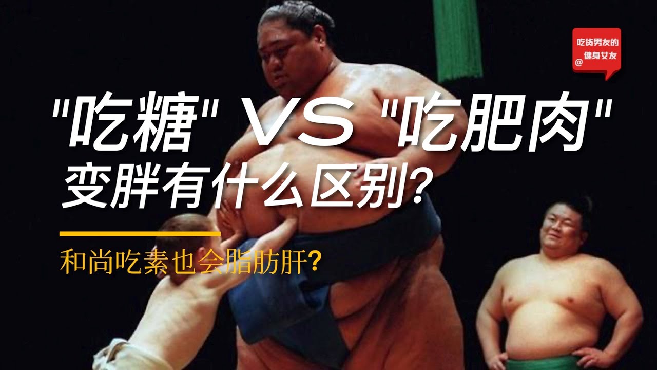 糖在身体里的变化（皮肤/血管/激素）｜相扑选手的饮食 【吃货男友的健身女友】