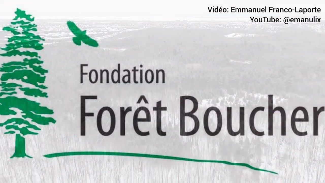 2026-03-01 Forêt Boucher en hiver 2026, Gatineau-Aylmer Québec Canada - Pour Fondation Forêt-Boucher