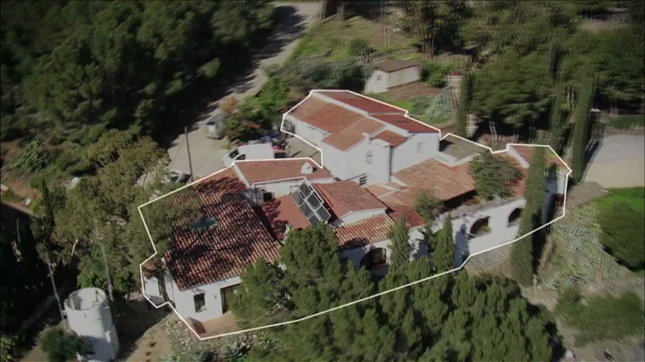 elBullifoundation [español]