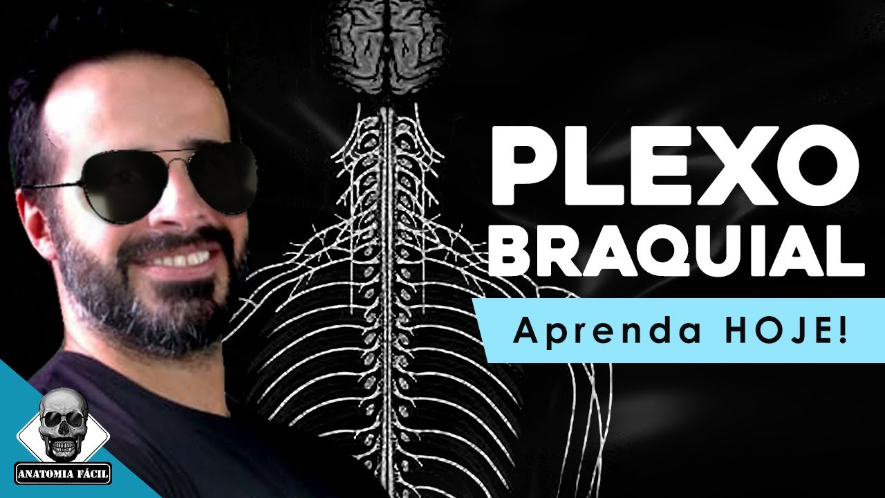 PLEXO BRAQUIAL: MANEIRA SIMPLES E PRÁTICA DE ENTENDER