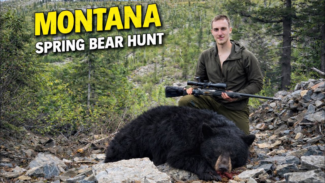 2025 Montana Spring Bear Hunt!