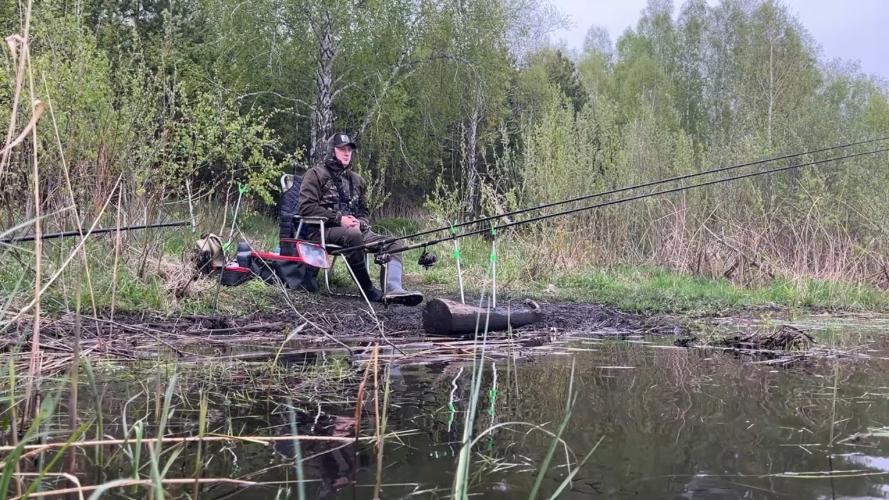Вот это лапти! Чуть не утащили удочку в реку.. Фидерная рыбалка на реке. #рыбалка #2025 #фидер #река