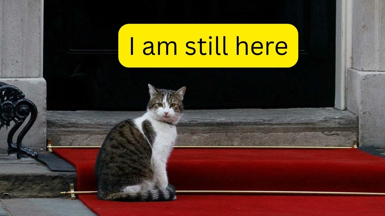I am still here  - Larry the Downing Street Cat