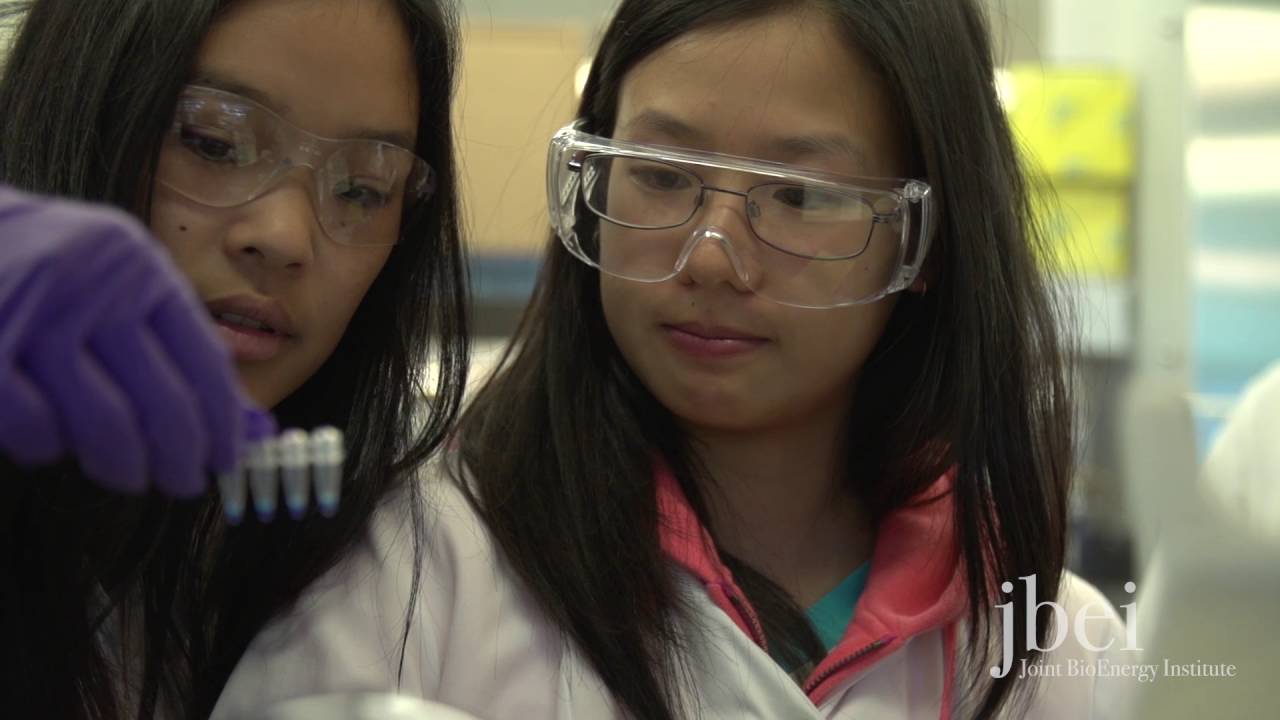 iCLEM: Fostering Diversity in Science