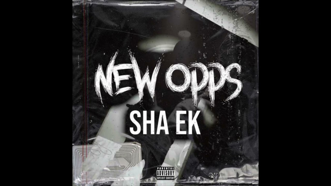 SHA EK - NEW OPPS (ACAPELLA) 162 BPM