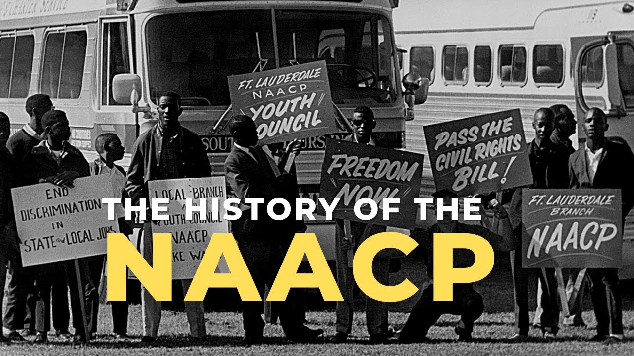 What HAPPENED to the NAACP? (The History of the NAACP) #onemichistory #blackhistory