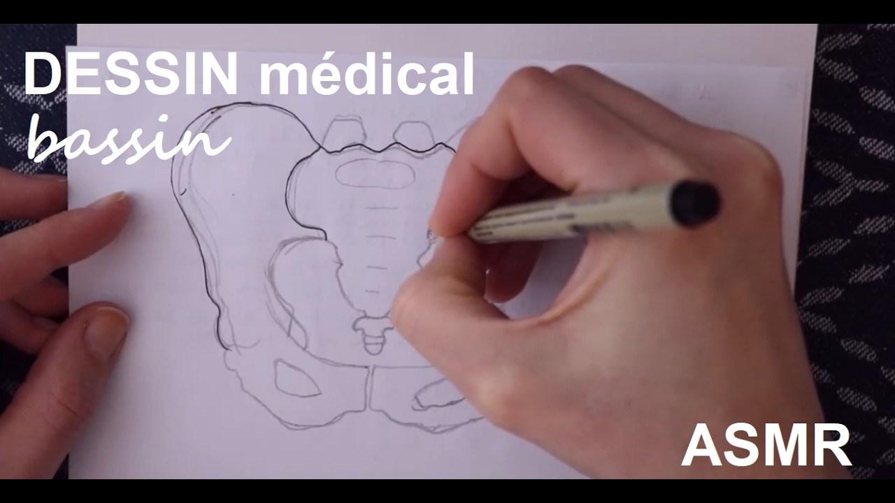 ASMR français - Dessin médical : bassin (anatomie)