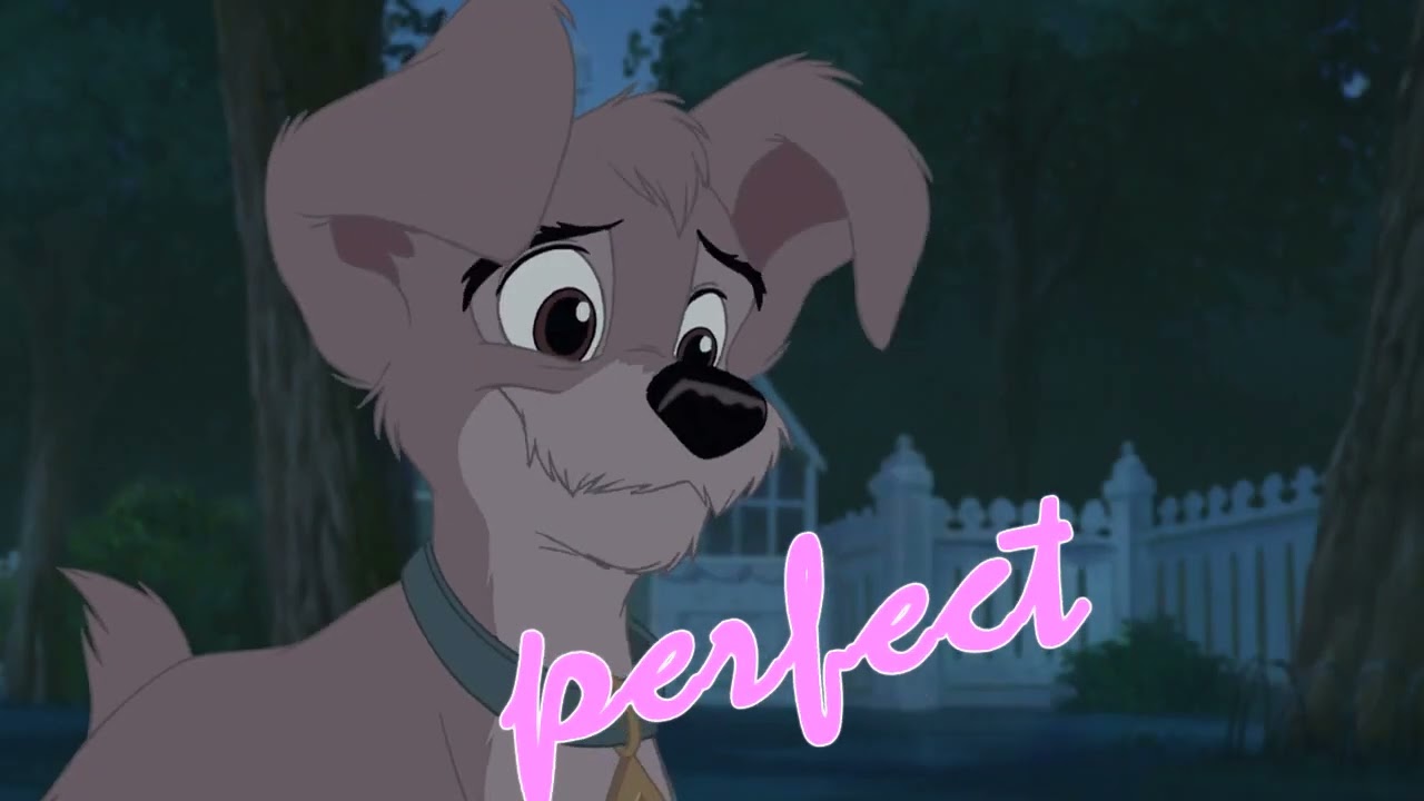 Animash - perfect