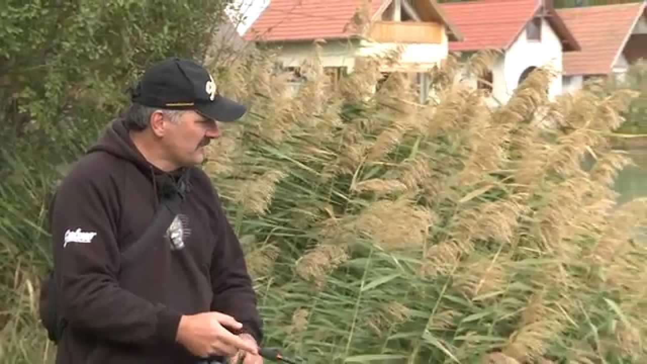 Hogyan pergessunk csukára