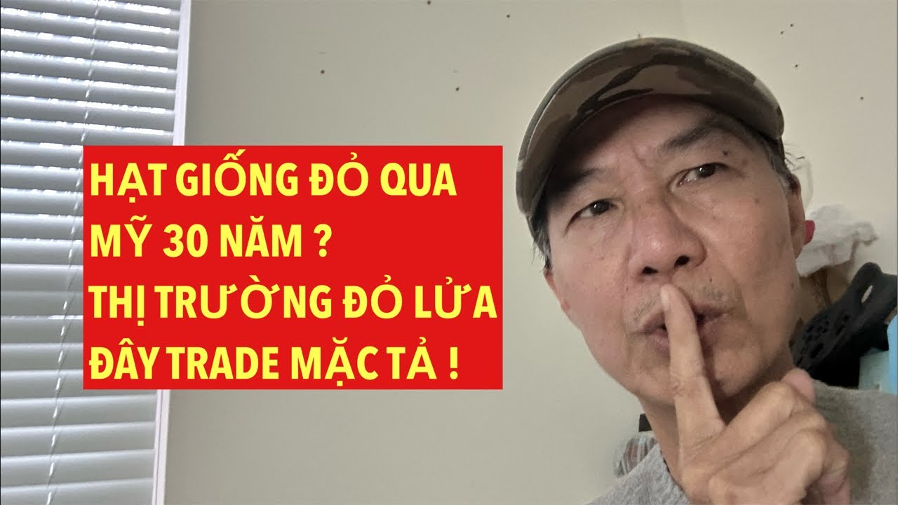 CÙNG CHUYÊN GIA BA LẸ : TẠI NẠN GIAO - VĂN HOÁ - ĐẨU TƯ STOCKS