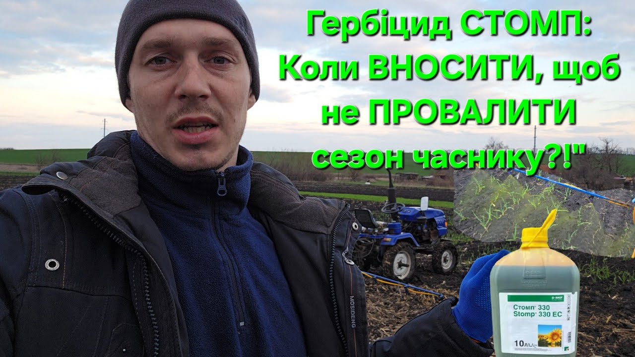 Гербіцид СТОМП: Коли ВНОСИТИ, щоб не ПРОВАЛИТИ сезон часнику?! І бути без бур'яну.