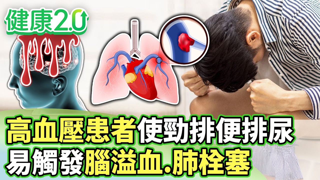 高血壓患者使勁排便排尿 易觸發腦溢血、肺栓塞【健康2.0分段】@tvbshealth20  EP3179-2 20260315 #陳欣湄#韋汝#劉恆維#林謂文#沈瑞斌#葉懿昕