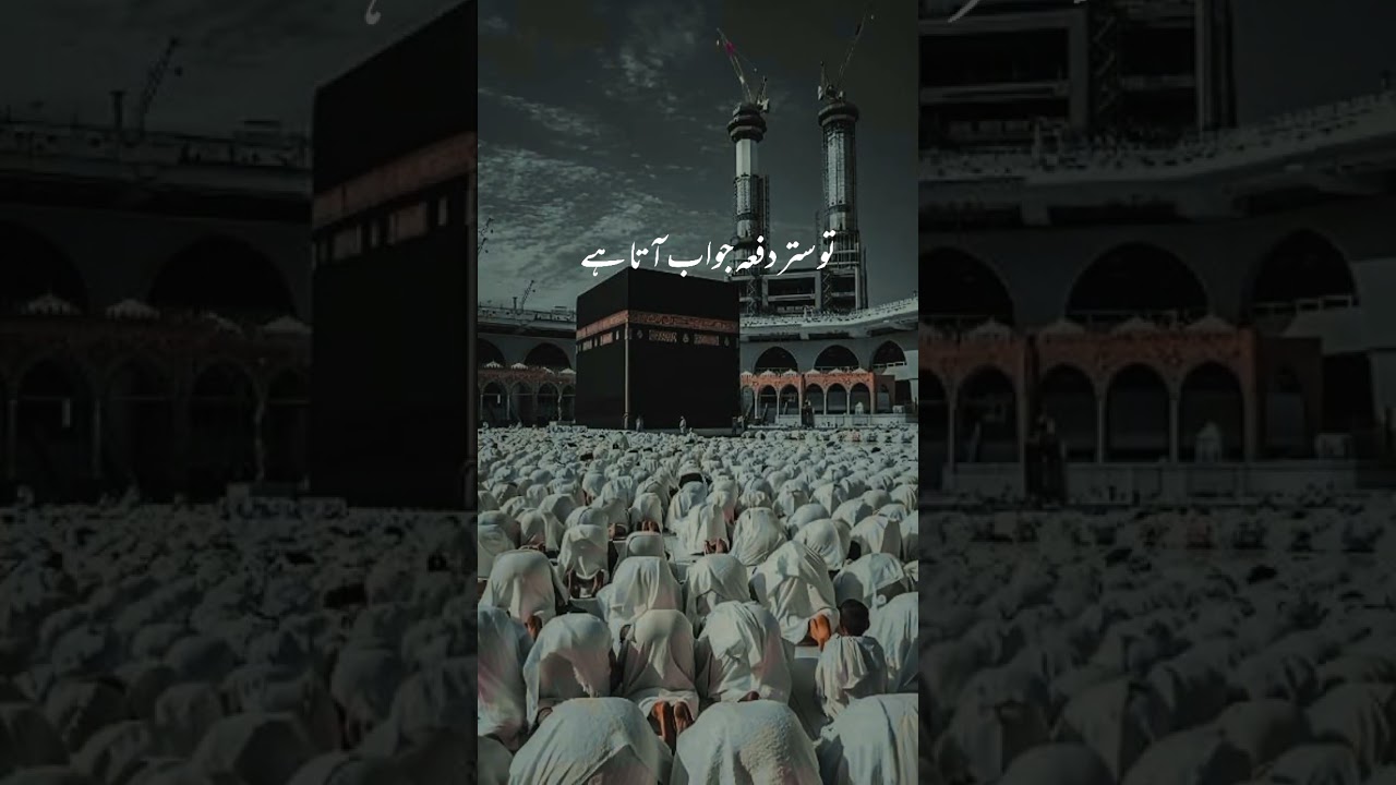 Molana Tariq Jameel | Tariq Jameel | bayan | Islam | Islamic Scholar | Pakistani preacher 💓 #islam
