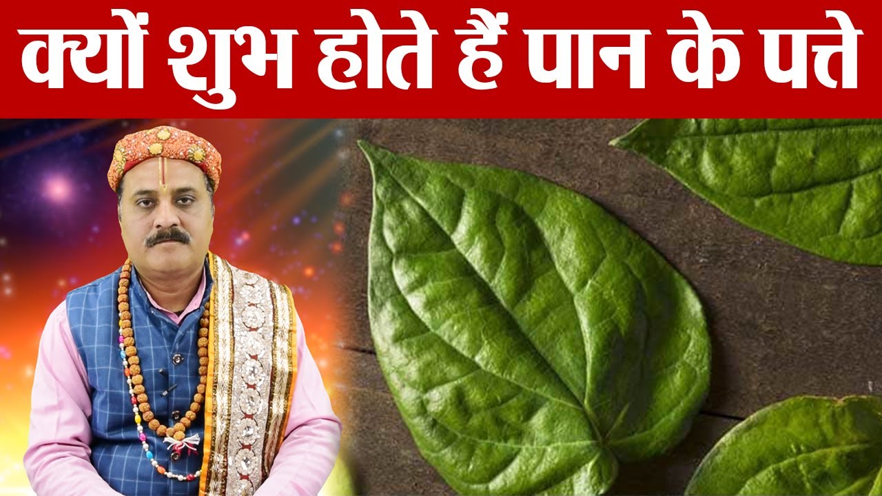 Importance of Paan in Hinduism: पूजा में इसलिए महत्वपूर्ण होते हैं पान के पत्ते | Boldsky