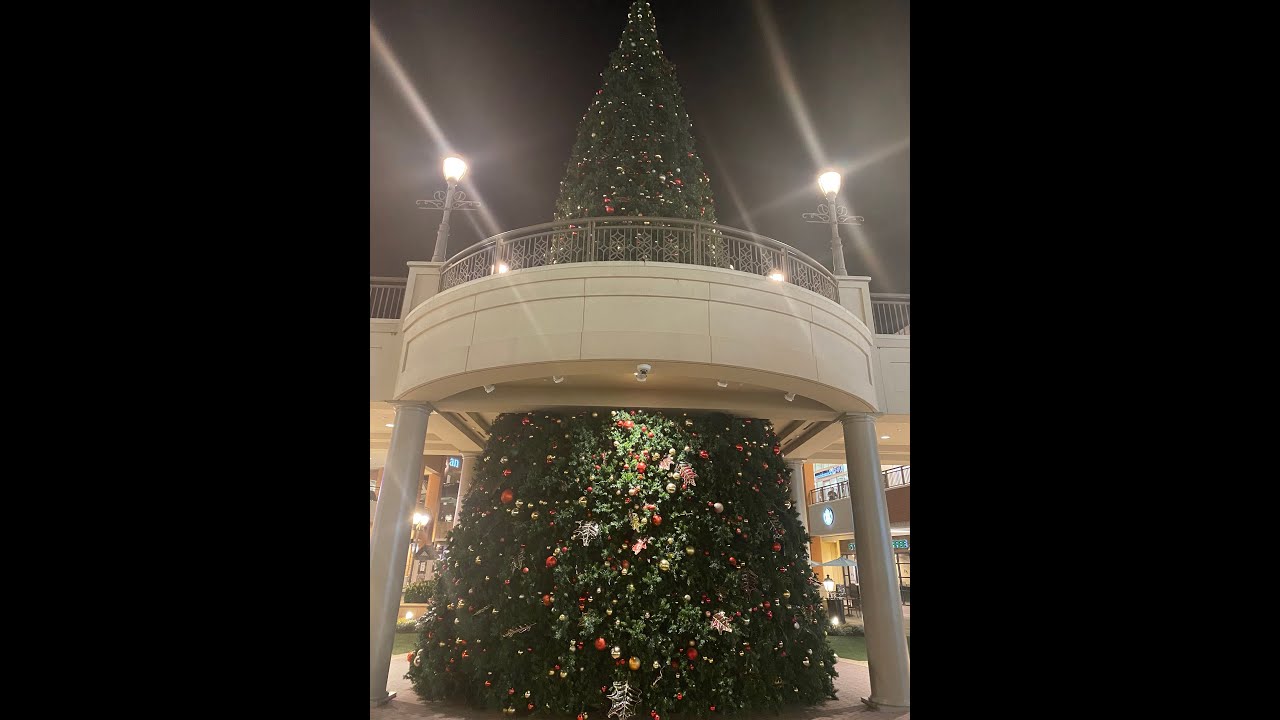 THE CHRISTMAS TREE LIGHTING AT SHORT PUMP