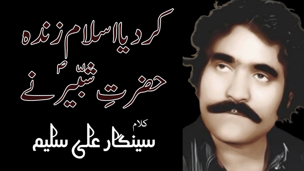 Noha Kardia Islam Zinda Hazrat e Shabbir Ne | Araba'een Chehlum Markazi Matami Jaloos