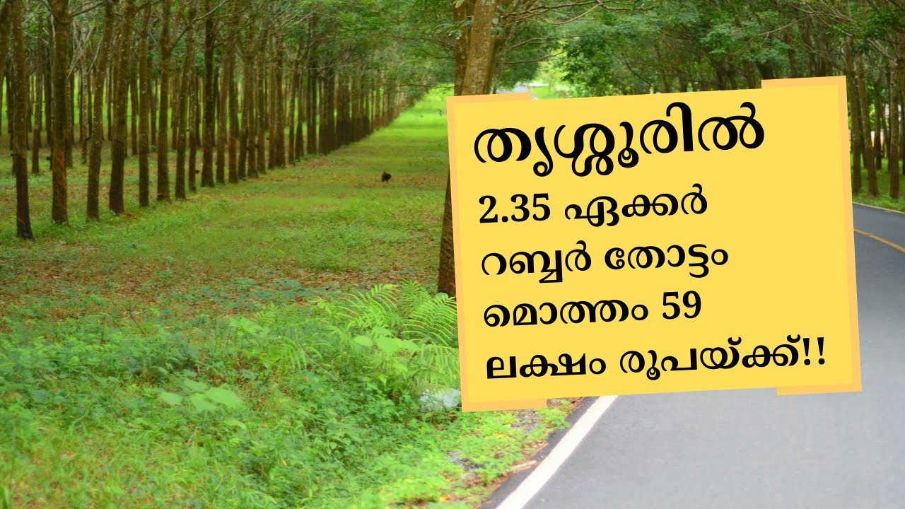 Rubber plantation for sale in Thrissur