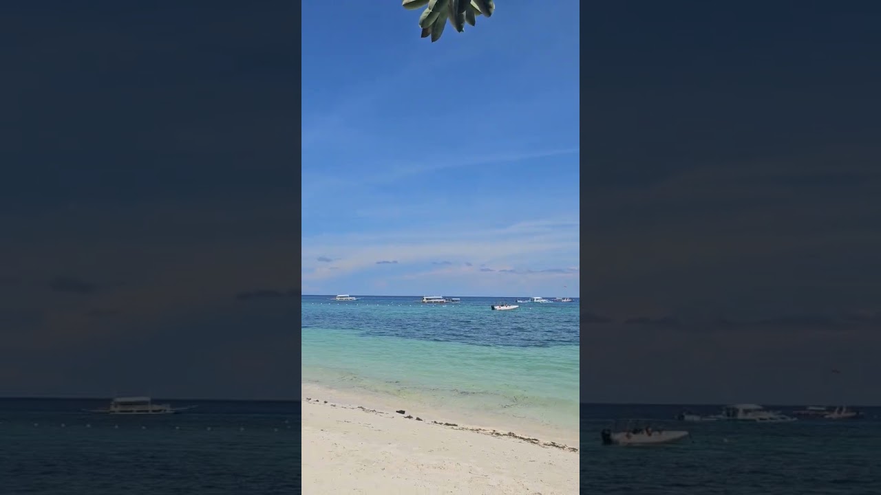 #alonabeach #bohol #vacation #philippineresorts #philippinestravel #whitesand #beachlife #beach