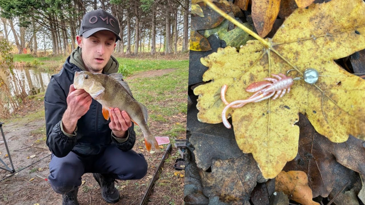 Ultra micro lure fishing in Liverpool!! (Leeds Liverpool canal fishing) 