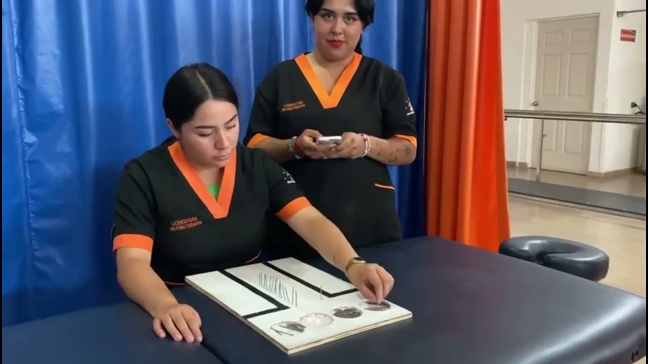 Prueba de purdue