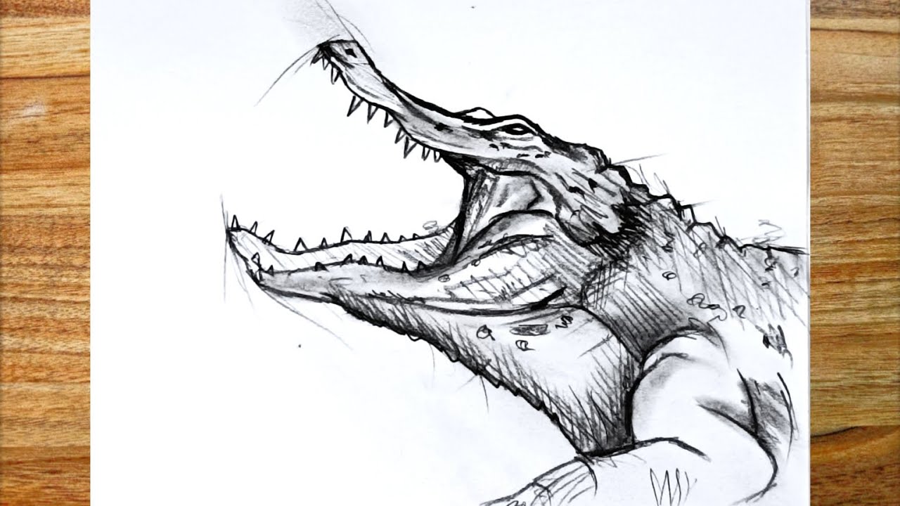 How to draw a crocodile with a pencil?