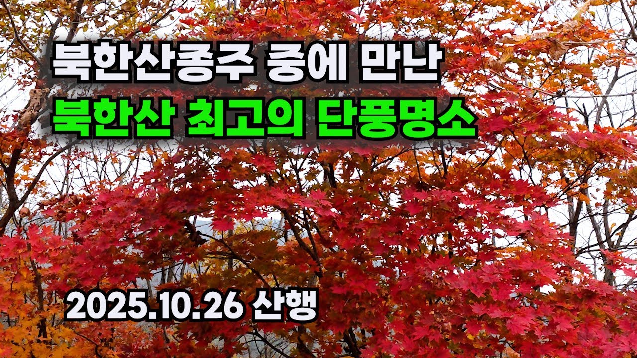 북한산 단풍 절정. 북한산 종주코스. (영봉~백운대~비봉~족두리봉. 13키로)