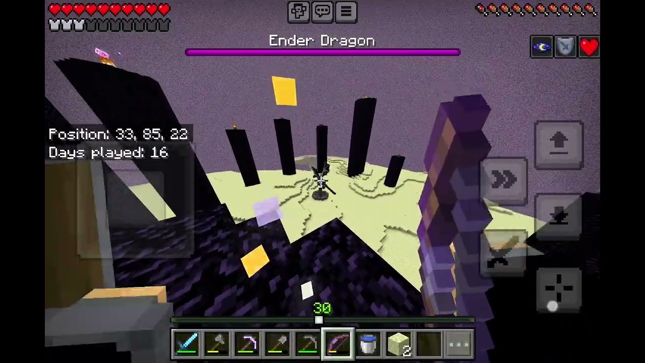 The first time i beat the ender dragon ft. My cousin