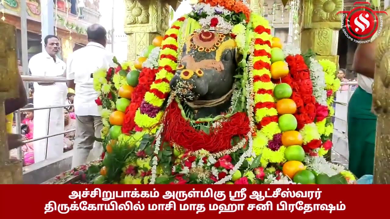 அச்சிறுபாக்கம் அருள்மிகு ஸ்ரீ ஆட்சீஸ்வரர்  திருக்கோயிலில் மாசி மாத மஹா சனி பிரதோஷம் 2026