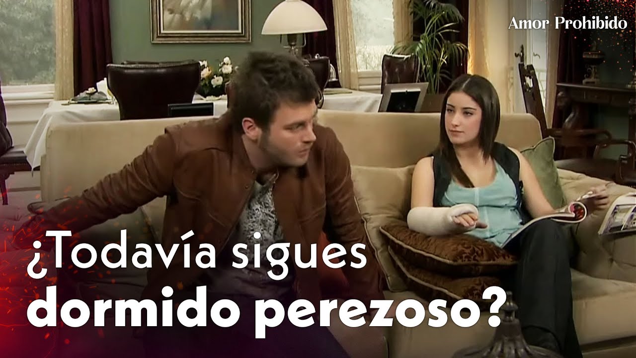 ¿Todavía sigues dormido perezoso?😄 - Amor Prohibido | Aşk-ı Memnu