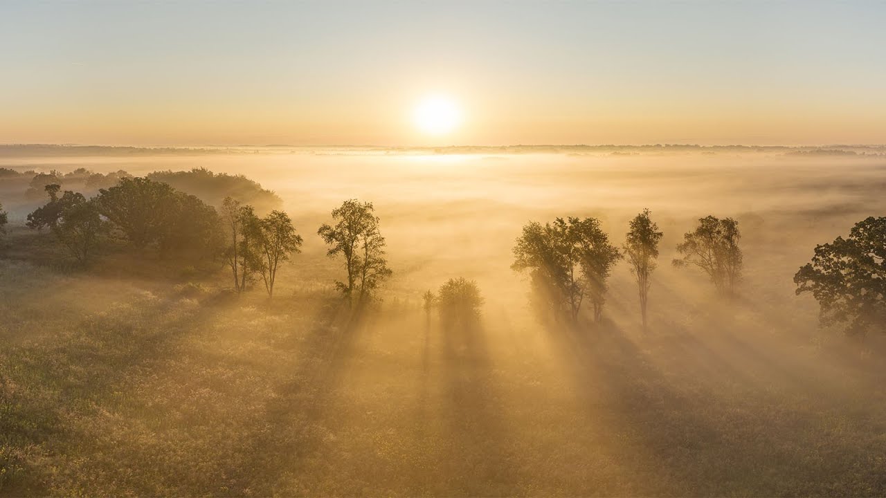 Newell and Ann Meyer Preserve   4K